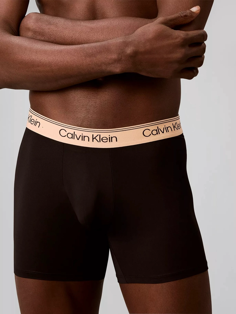 PACK DE 4 BOXERS BRIEF MICROFIBER STRETCH - 5