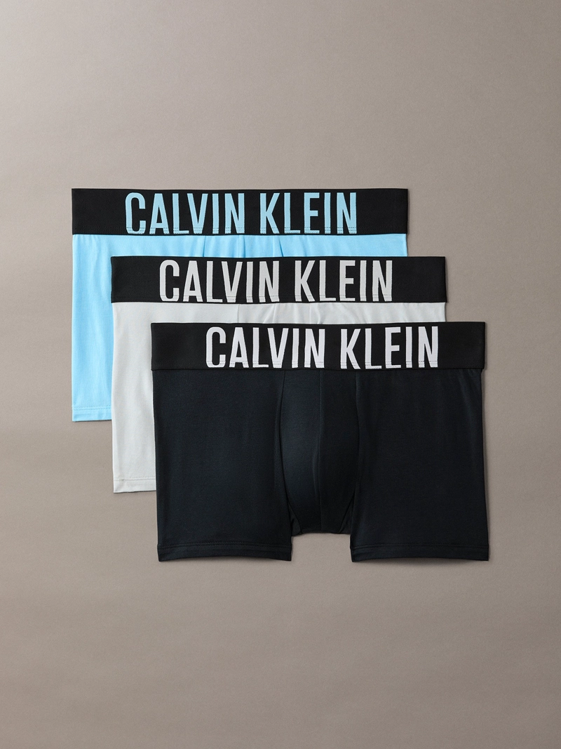 PACK DE 3 BOXERS TRUNK INTENSE POWER - 1