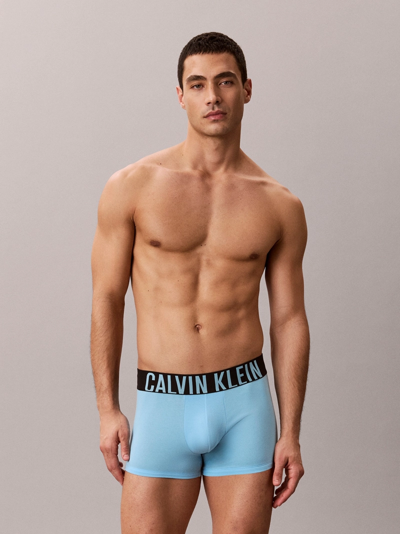 PACK DE 3 BOXERS TRUNK INTENSE POWER - 2