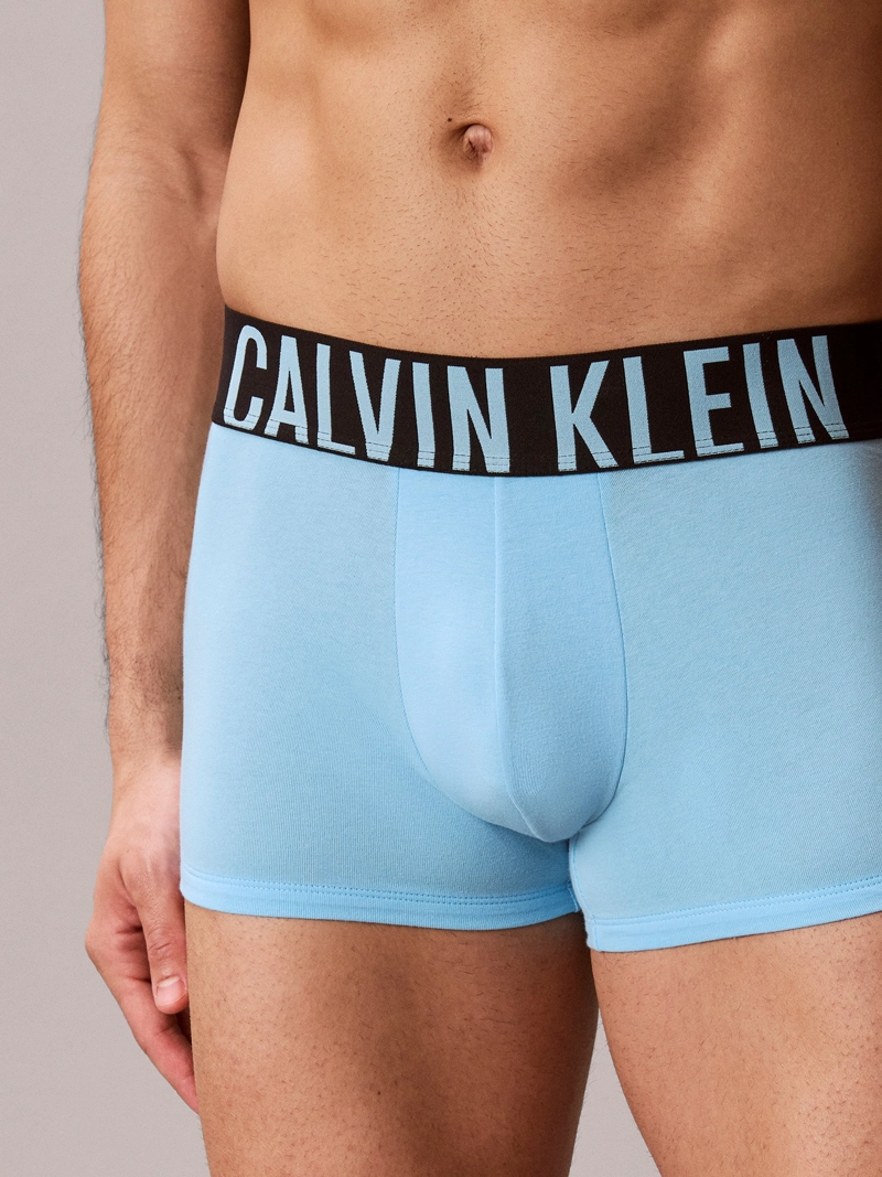 PACK DE 3 BOXERS TRUNK INTENSE POWER - 6