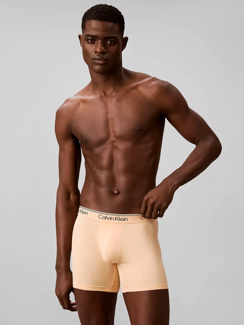 PACK DE 4 BOXERS BRIEF MICROFIBER STRETCH - 2