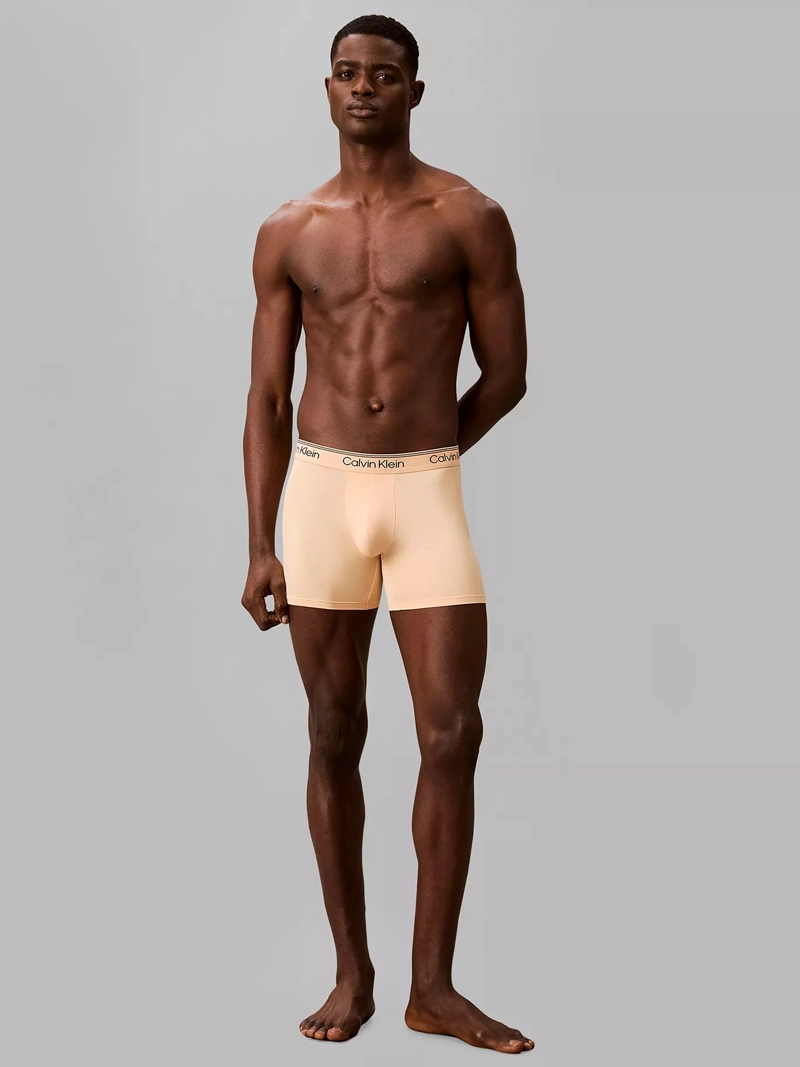 PACK DE 4 BOXERS BRIEF MICROFIBER STRETCH - 3