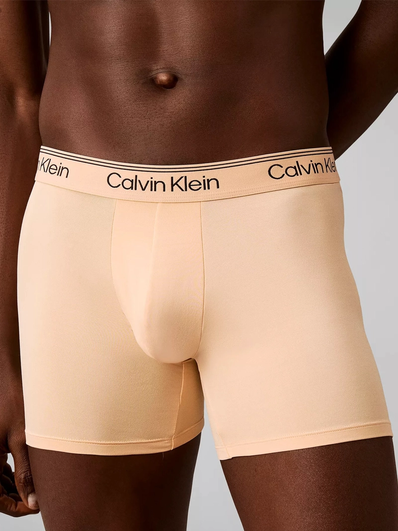PACK DE 4 BOXERS BRIEF MICROFIBER STRETCH - 5