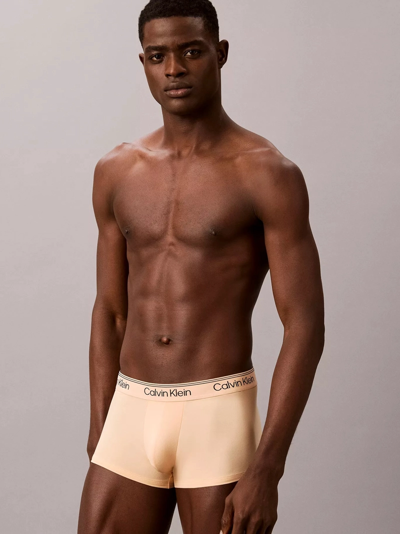 PACK DE 4 BOXERS LOW RISE TRUNK MICROFIBER STRETCH - 2