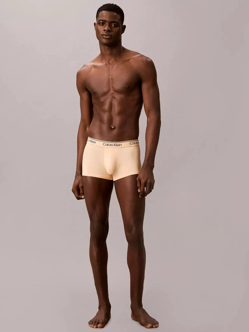 PACK DE 4 BOXERS LOW RISE TRUNK MICROFIBER STRETCH - 3