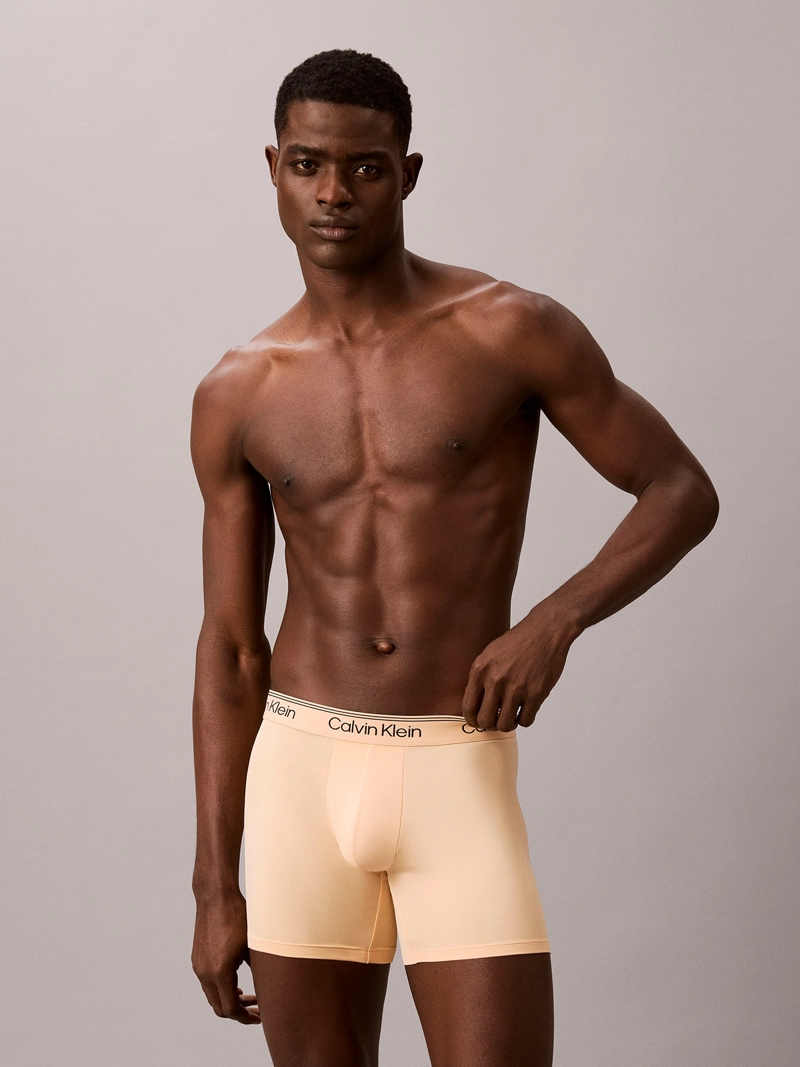PACK DE 3 BOXERS BRIEF MICROFIBER STRETCH - 2