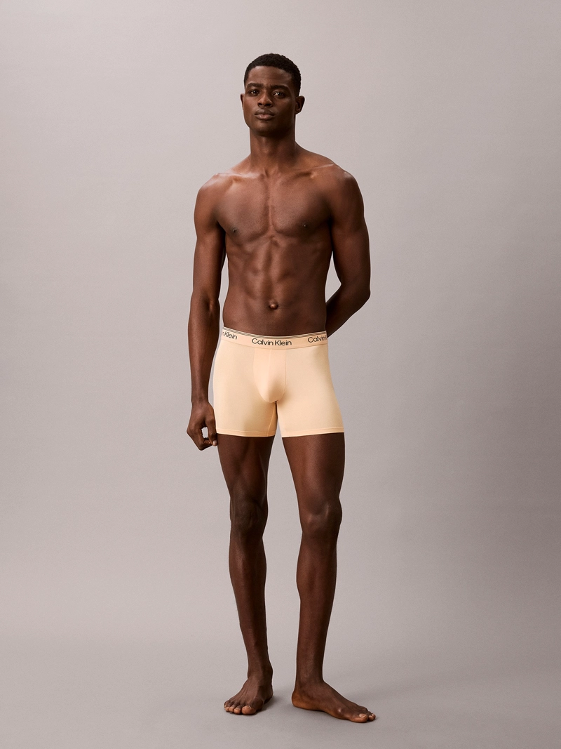 PACK DE 3 BOXERS BRIEF MICROFIBER STRETCH - 3