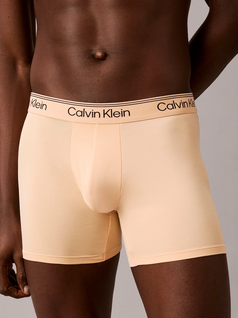 PACK DE 3 BOXERS BRIEF MICROFIBER STRETCH - 5