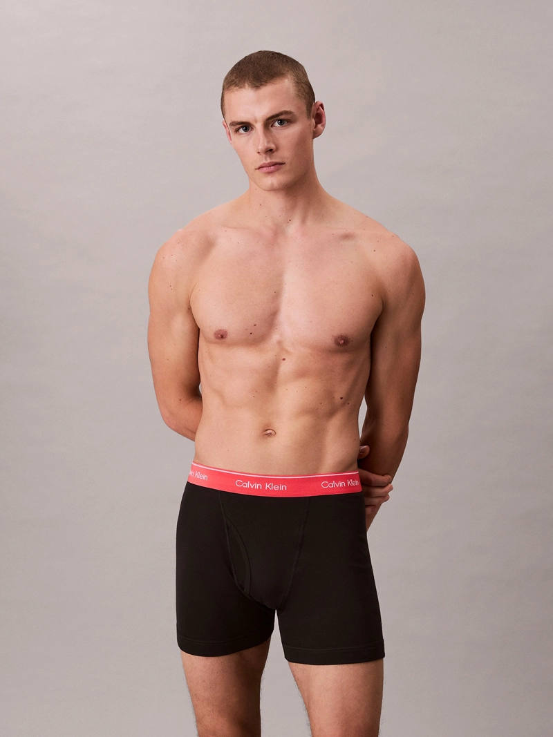 PACK DE 3 BOXERS BRIEF COTTON CLASSICS - 2