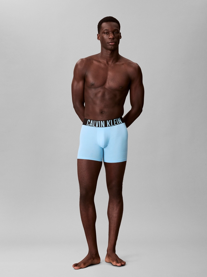 PACK DE 3 BOXERS BRIEF INTENSE POWER COTTON - 3