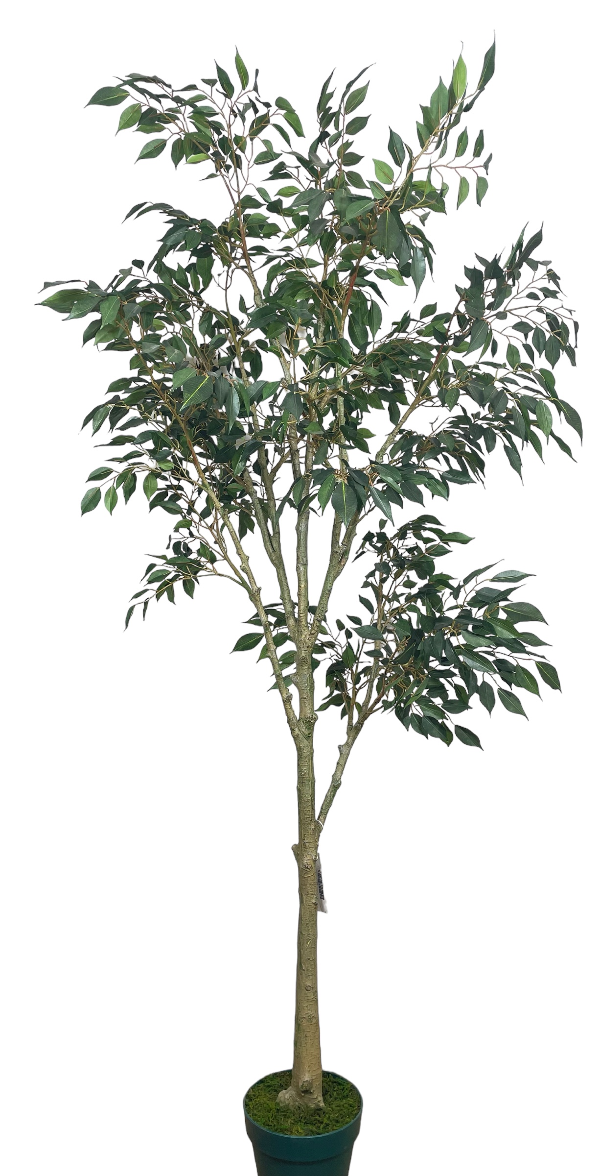 Pianta artificiale Ficus lyrata 100 cm | Naturing Monde - Interni | Leroy Merlin