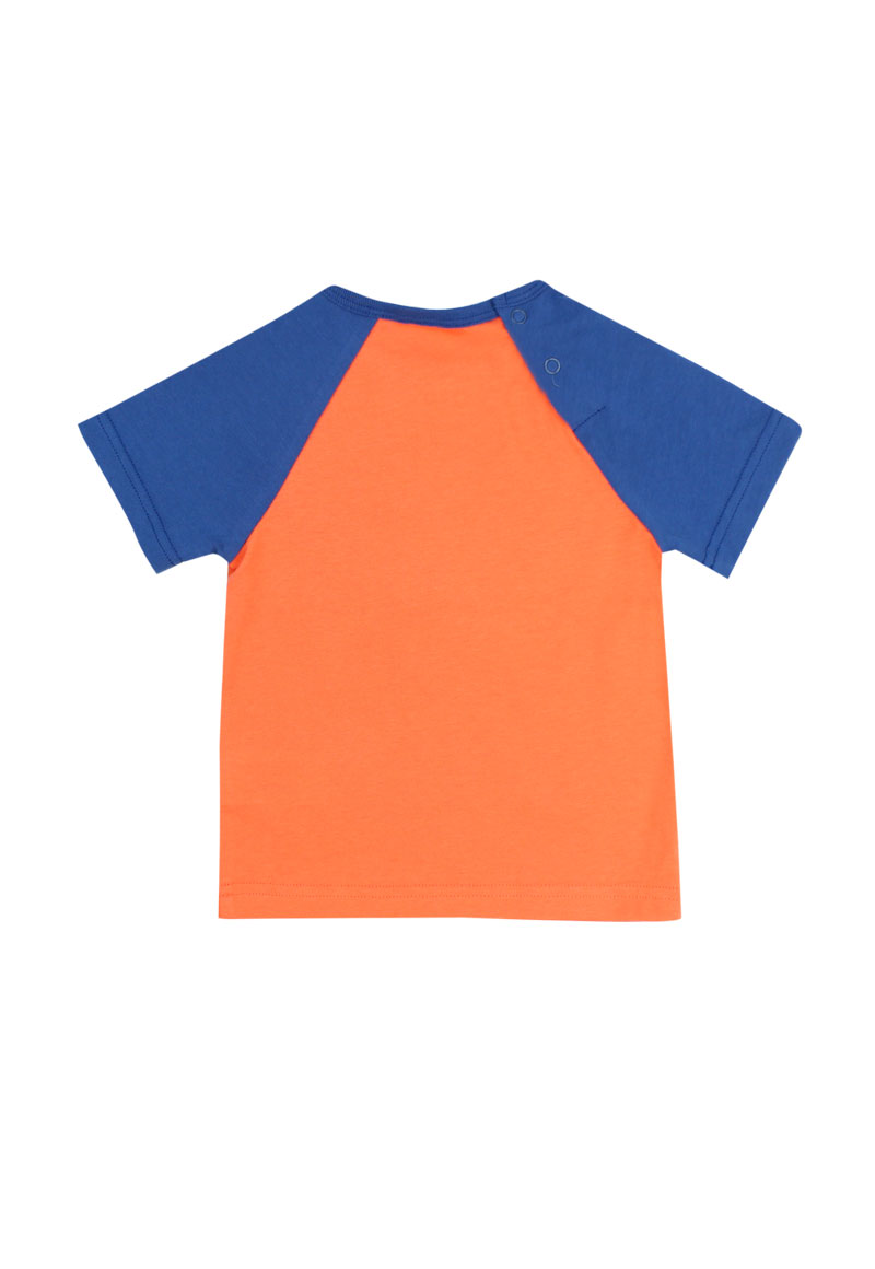 POLERA ALGODÓN NIÑO FICCUS MANGA RANGLAN ENERGY NARANJO BEBÉ NARANJO 3 A 24 MESES 3 / 6 M - 2