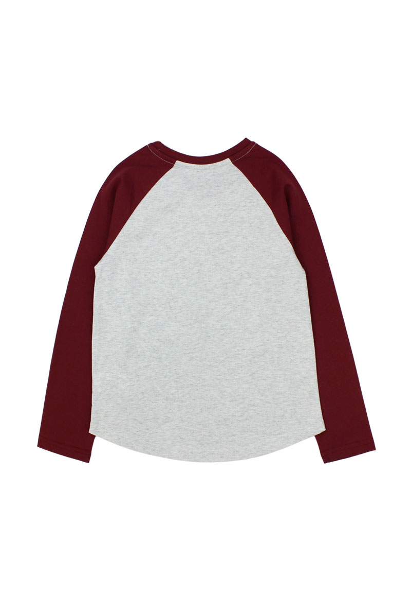 POLERA NIÑA FICCUS GRIS - 2