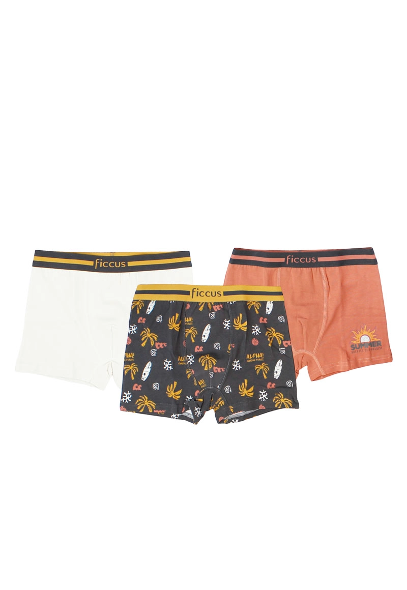BOXER NIÑO RI 2710642 PACK 3 COLORES - 2