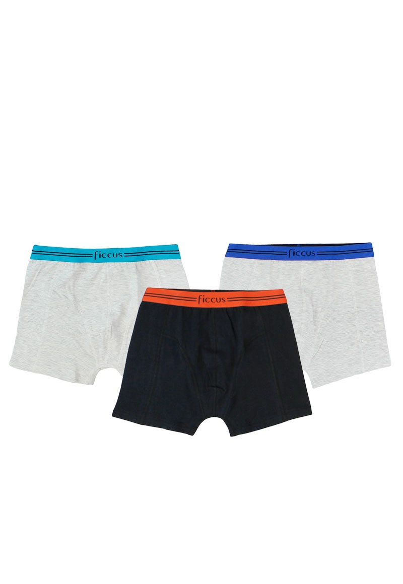 BOXER NIÑO RI 2710661 PACK 3 COLORES - 2