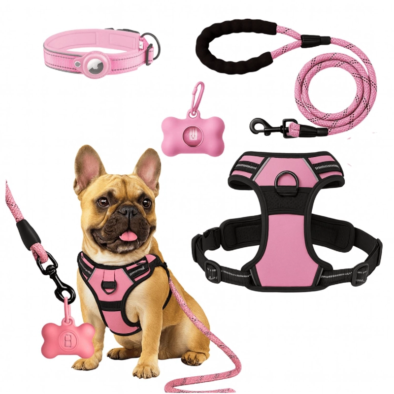 SET ARNES CORREA COLLAR PORTA GPS + REGALO - 1