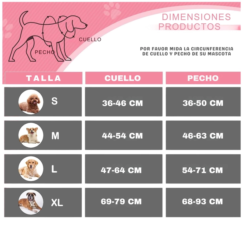 SET ARNES CORREA COLLAR PORTA GPS + REGALO - 2