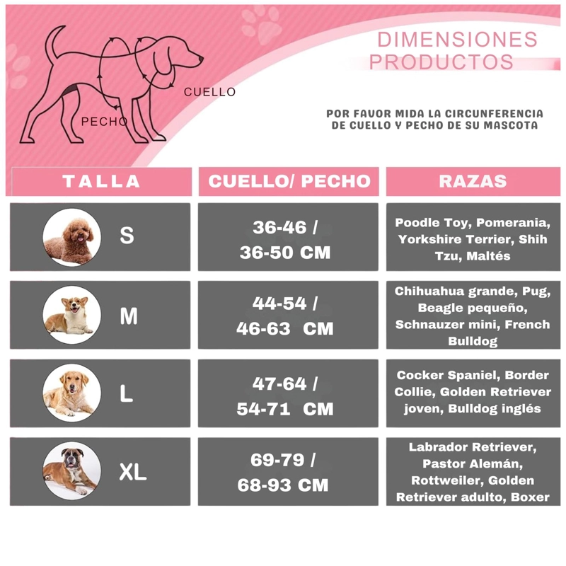 SET ARNES CORREA COLLAR PORTA GPS + REGALO - 3
