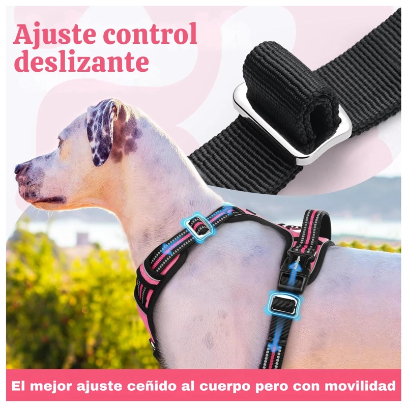 SET ARNES CORREA COLLAR PORTA GPS + REGALO - 4