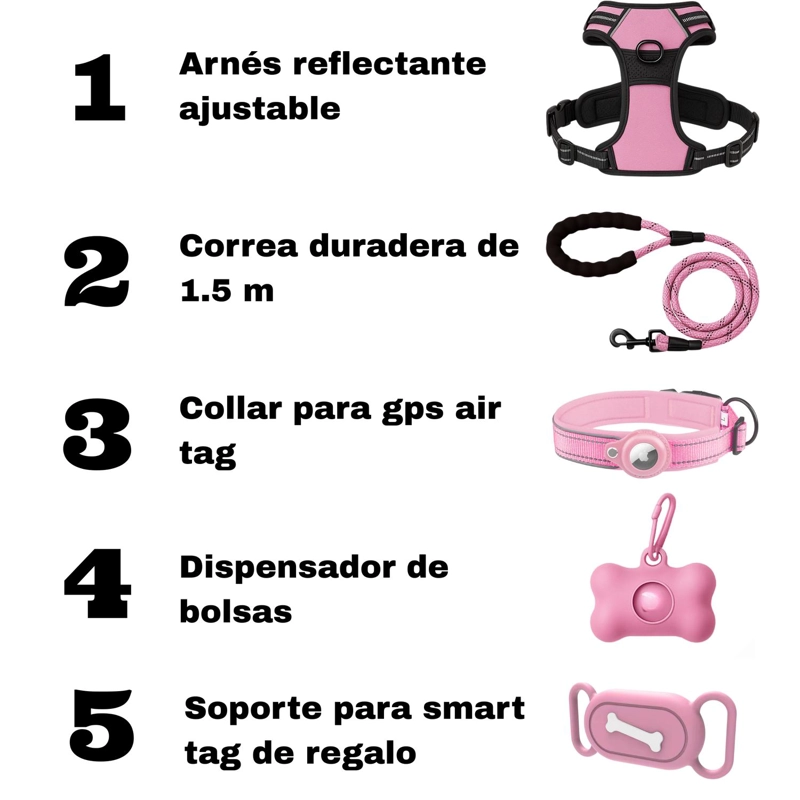 SET ARNES CORREA COLLAR PORTA GPS + REGALO - 5
