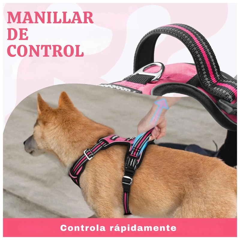 SET ARNES CORREA COLLAR PORTA GPS + REGALO - 6