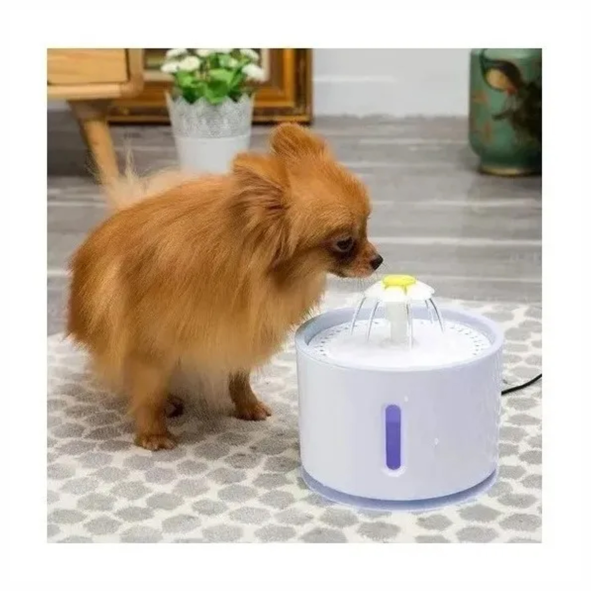 SET PERROS GATOS FUENTE BEBEDERO DISPENSADOR AGUA ELÉCTRICO + 4 FILTROS - 4