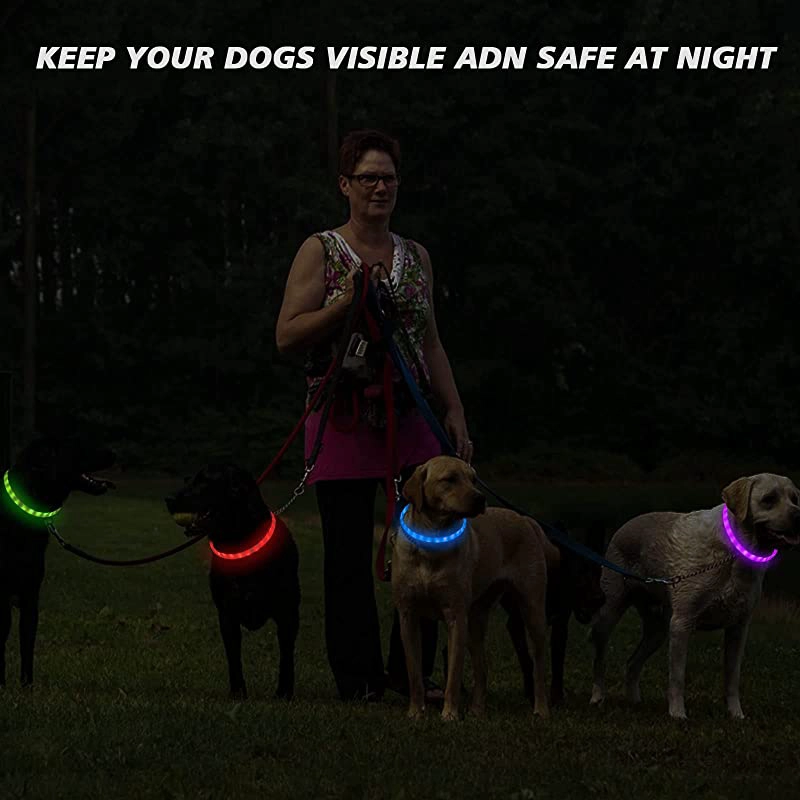 COLLAR PERROS LUMINOSO LUZ LED CARGA USB AZUL 70 CM - 3