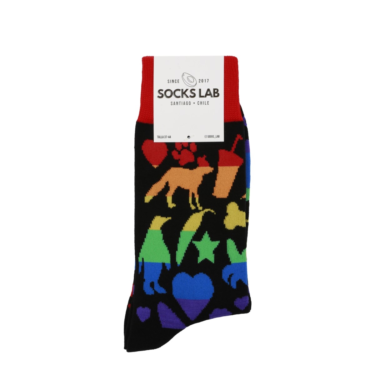 CALCETÍN ALGODÓN PEINADO PRIDE SOCKS LAB - 2