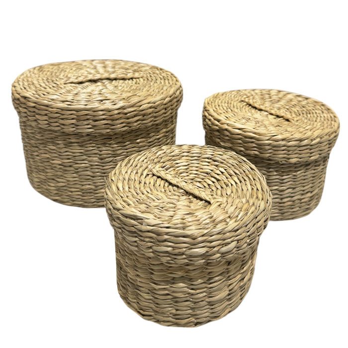 CANASTO ORGANIZADOR FIBRA NATURAL CON TAPA BRIC - 1
