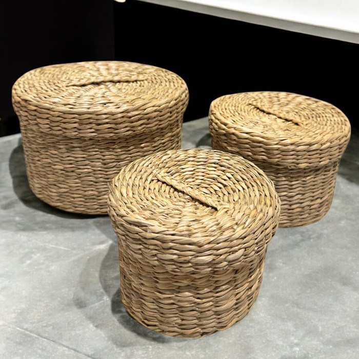 CANASTO ORGANIZADOR FIBRA NATURAL CON TAPA BRIC - 2