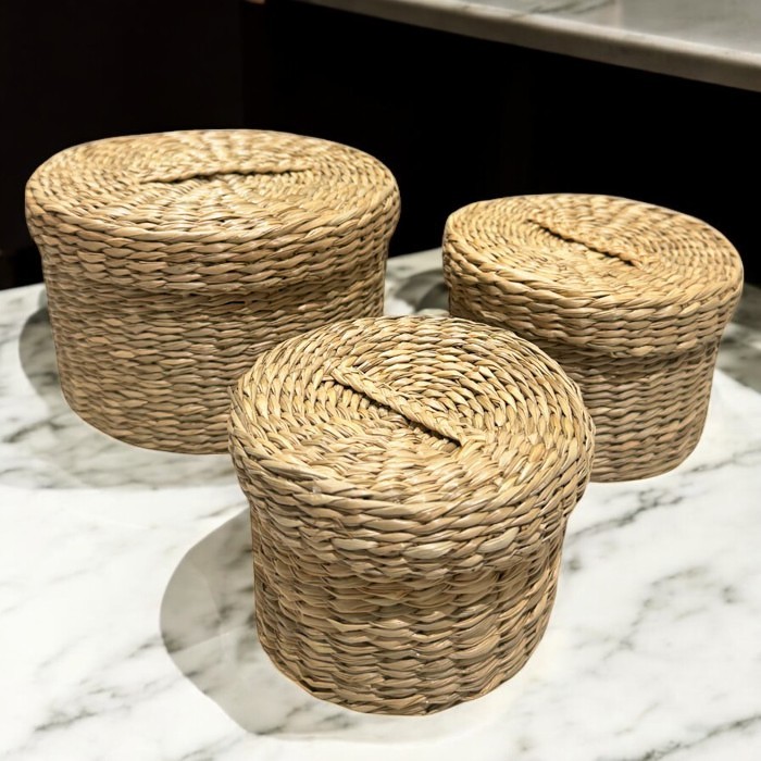 CANASTO ORGANIZADOR FIBRA NATURAL CON TAPA BRIC - 3