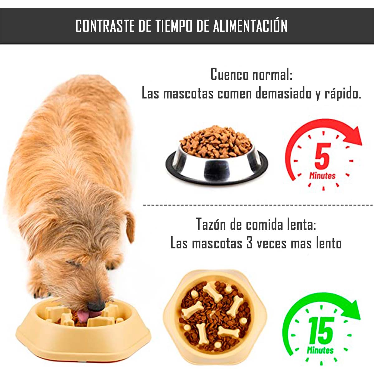 PLATO DE COMIDA ANTIANSIEDAD PARA MASCOTAS PERROS Y GATOS - 2