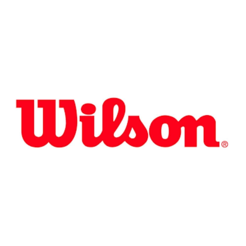 PELOTA NBA AUTHENTIC SERIES OUTDOOR WILSON - 2