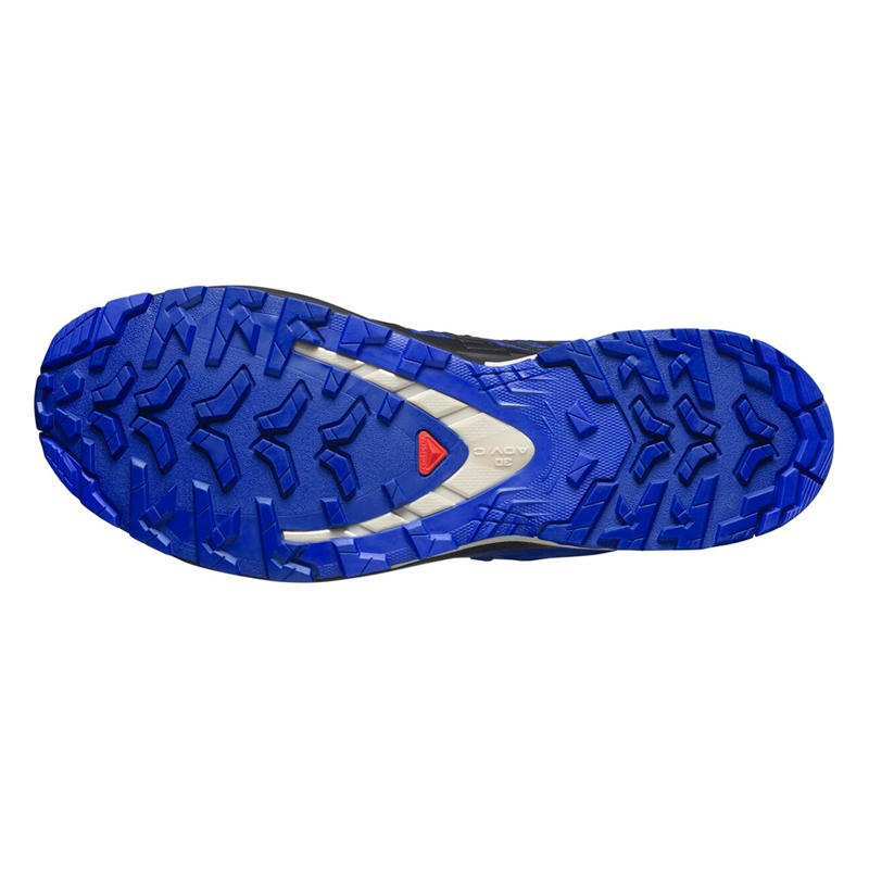 ZAPATILLA TREKKING SALOMON HOMBRE XA PRO 3D V9 GTX AZ - 4