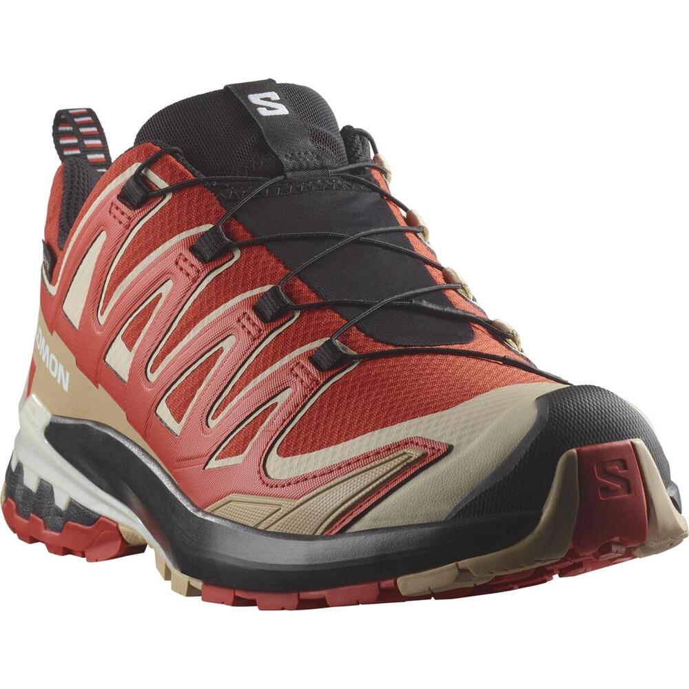 ZAPATILLA HOMBRE XA PRO 3D V9 GORE-TEX AU SALOMON - 6