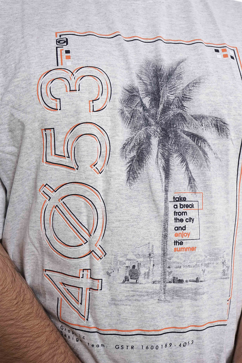 PLUS POLERA MC BASICA 4053G ARENA GANGSTER - 3