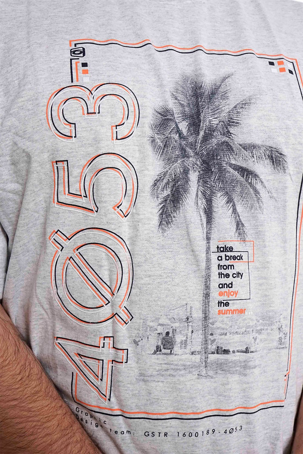PLUS POLERA MC BASICA 4053G ARENA GANGSTER - 3