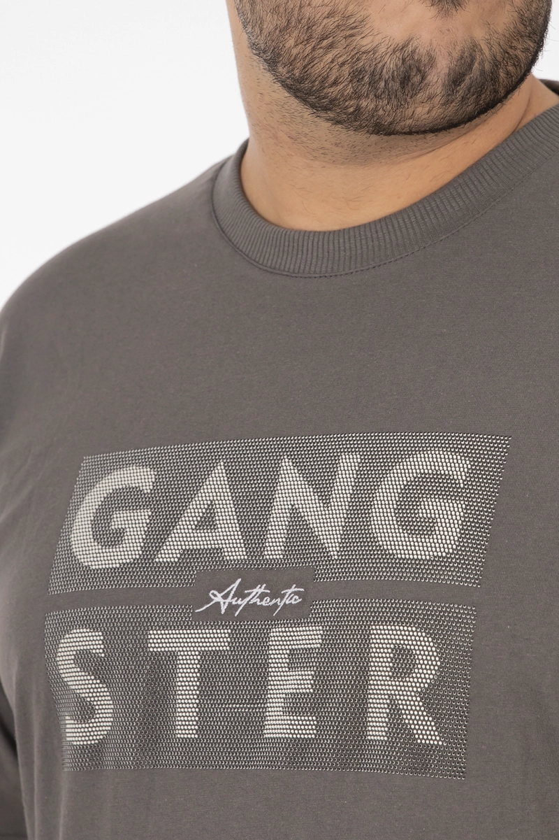 PLUS POLERA MC BASICA SANTA GRIS - 3