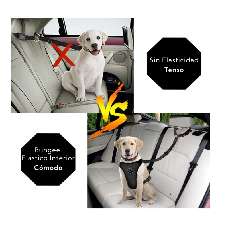 CORREA LEASH PARA MASCOTAS PRO OUTDOOR - 6