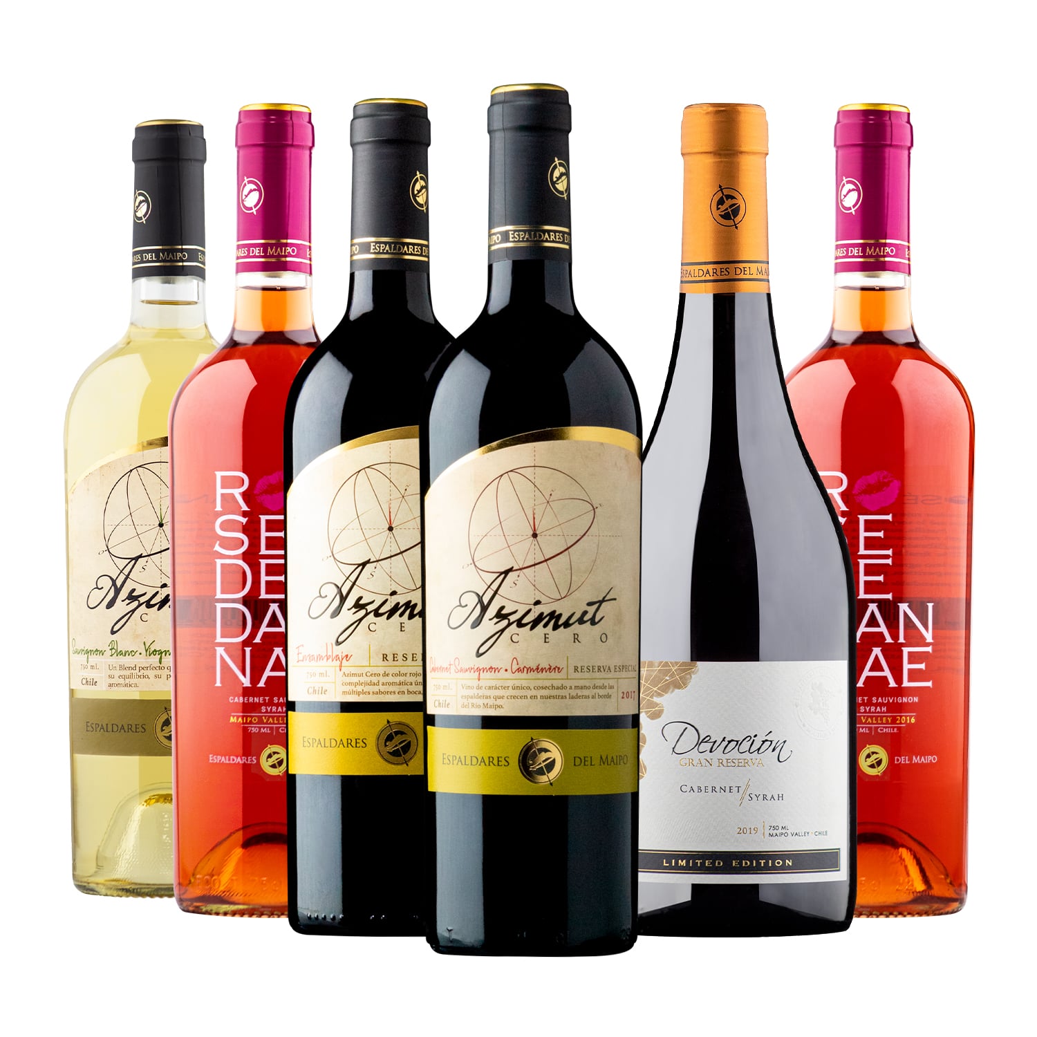 CAJA X 6 MIX VINOS ENSAMBLAJES ESPALDARES DEL MAIPO - 1