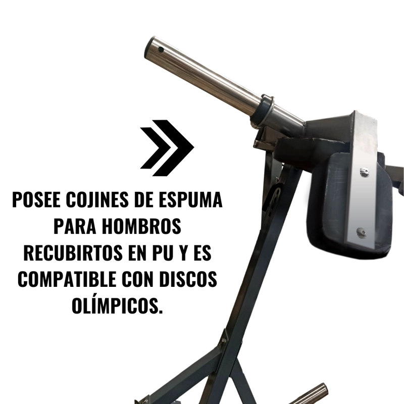 SENTADILLA DE PIE SACRIFICE SPORTS STAND CALF RAISE 6080 - 4