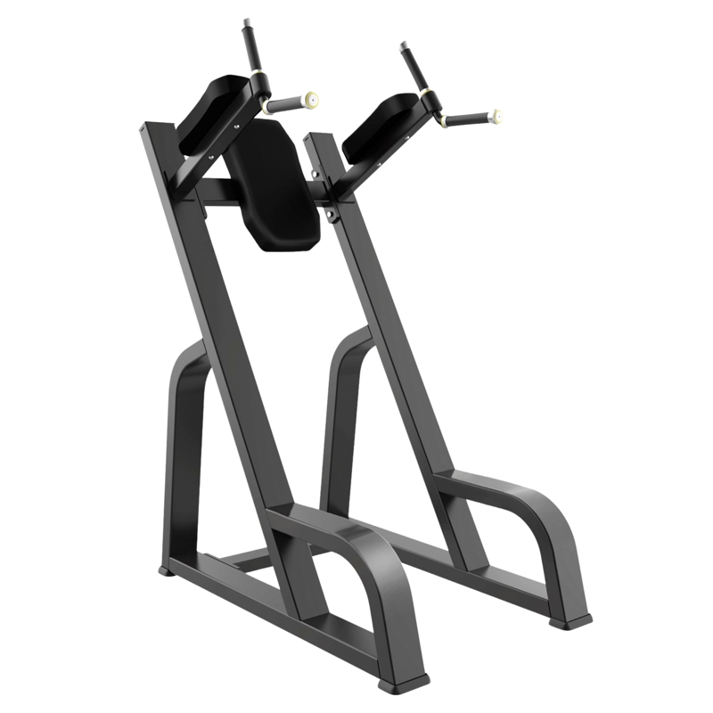 Dip Chin/Ab Crunch Youfit-F47 - 1