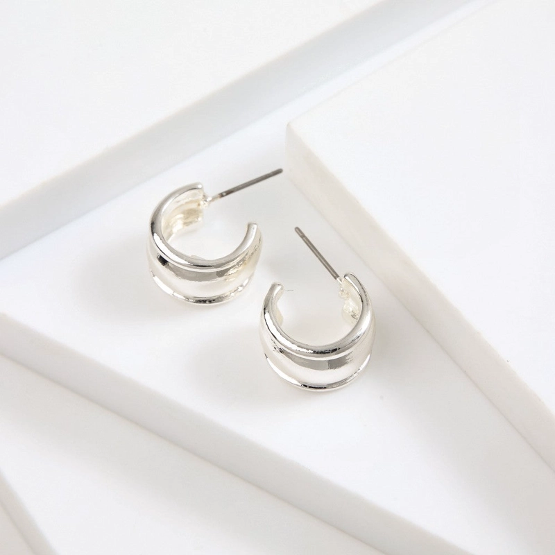 AROS ARGOLLAS EVIA SILVER TATIENNE - 1