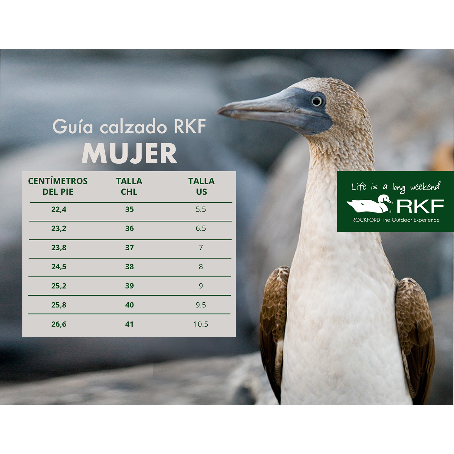BOTÍN CUERO MUJER PEPA GRIS ROCKFORD - 3