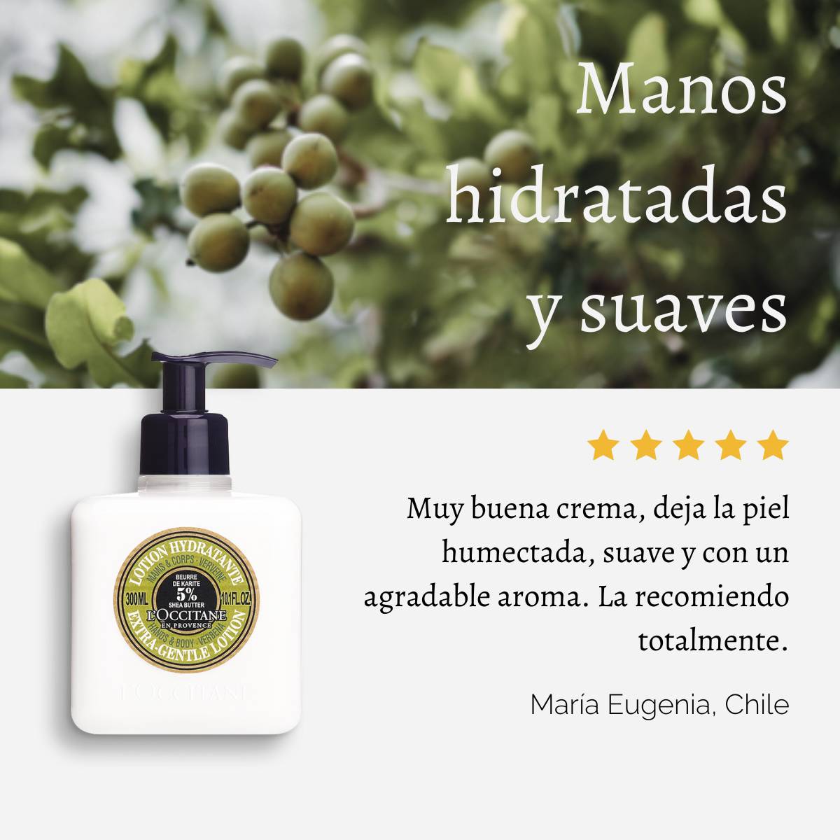 LOCIÓN MANOS Y CUERPO KARITÉ VERBENA 300 ML, L'OCCITANE - 4