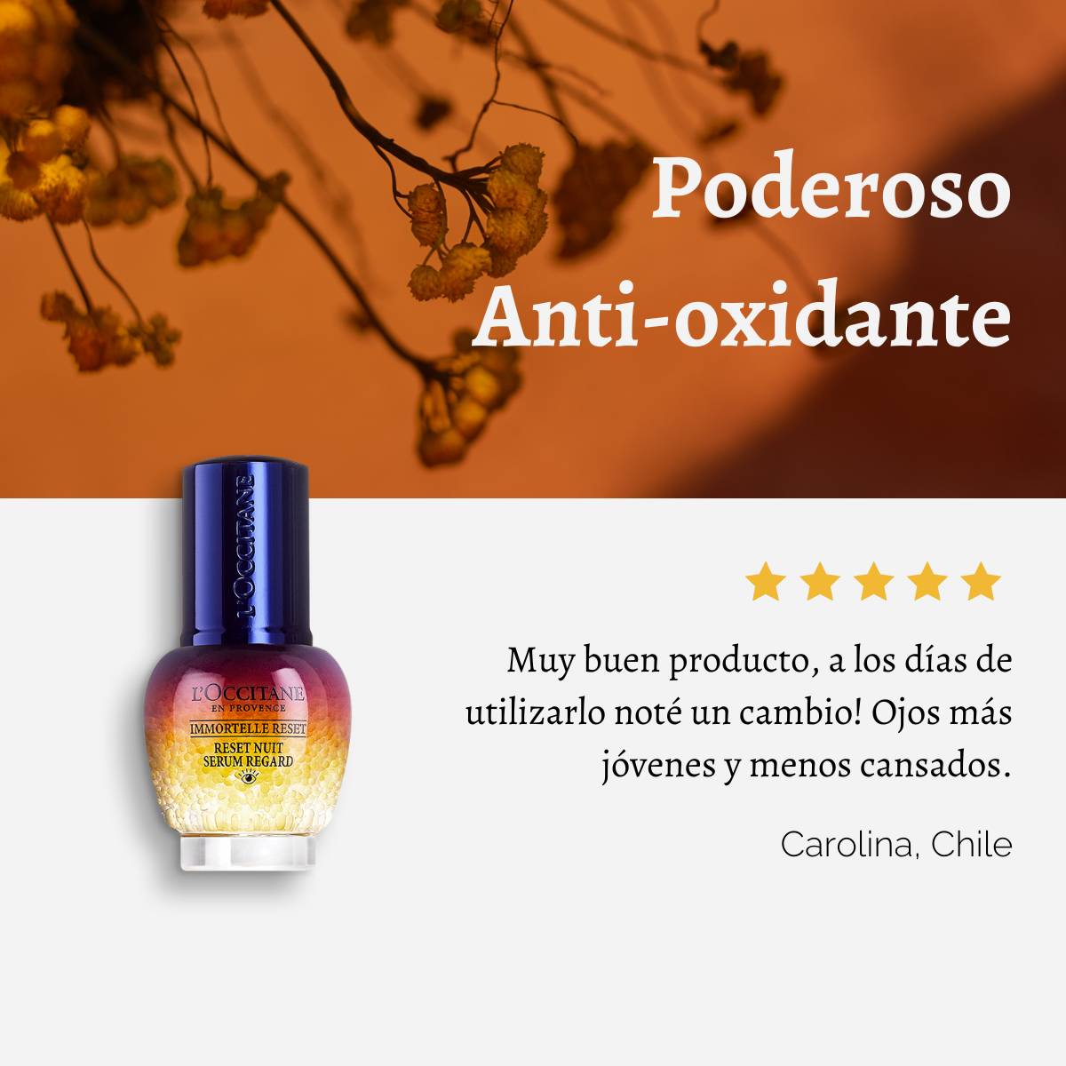 SERUM CONTORNO OJOS OVERNIGHT RES IMMORTELLE L'OCCITANE - 7