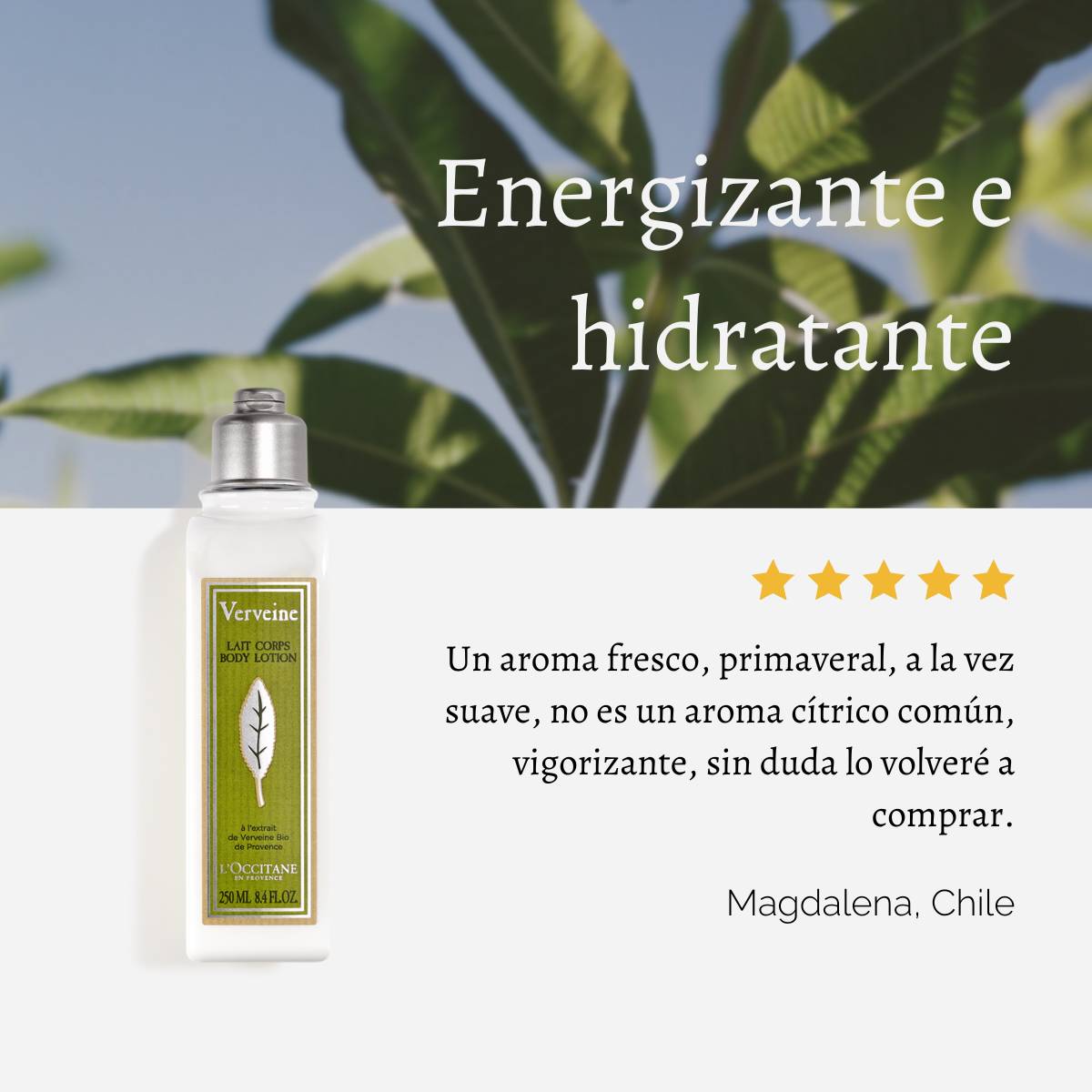 LECHE DE CUERPO VERBENA 250 ML, L'OCCITANE - 6