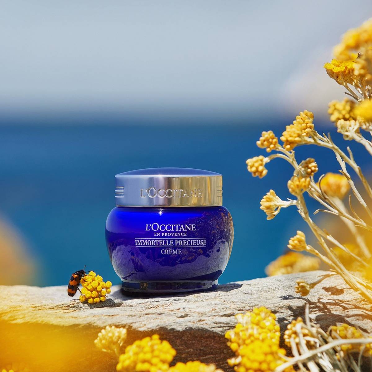 CREMA FACIAL PREVENTIVA ANTI EDAD PREC IMMOR L'OCCITANE - 4