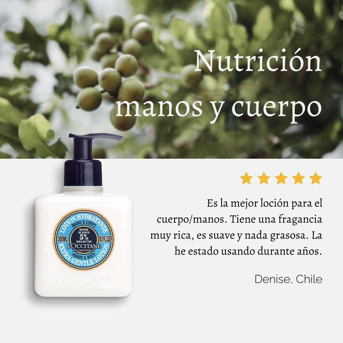 LOCIÓN MANOS Y CUERPO KARITÉ L'OCCITANE - 5