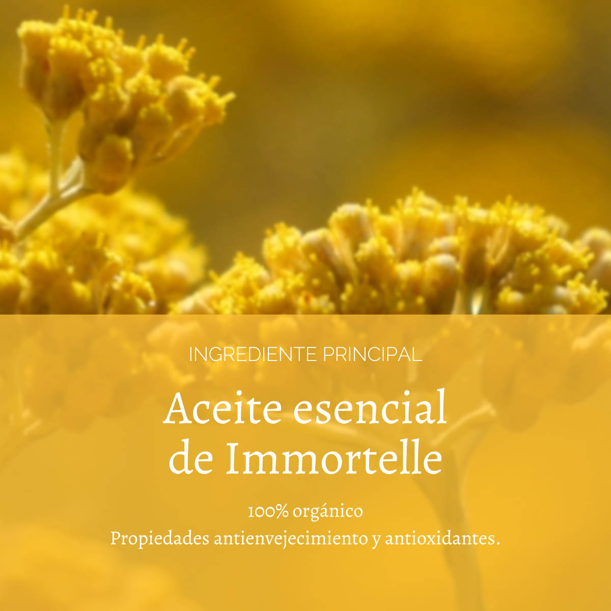 ACEITE FACIAL LIMPIADOR PRECIOSA 200 ML L'OCCITANE - 4